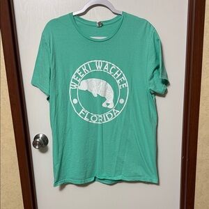 Fruit Of The Loom Green Women’s T-Shirt Size L